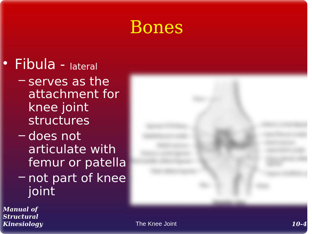 10 Knee (1)_dmk9s5kclbk_page4