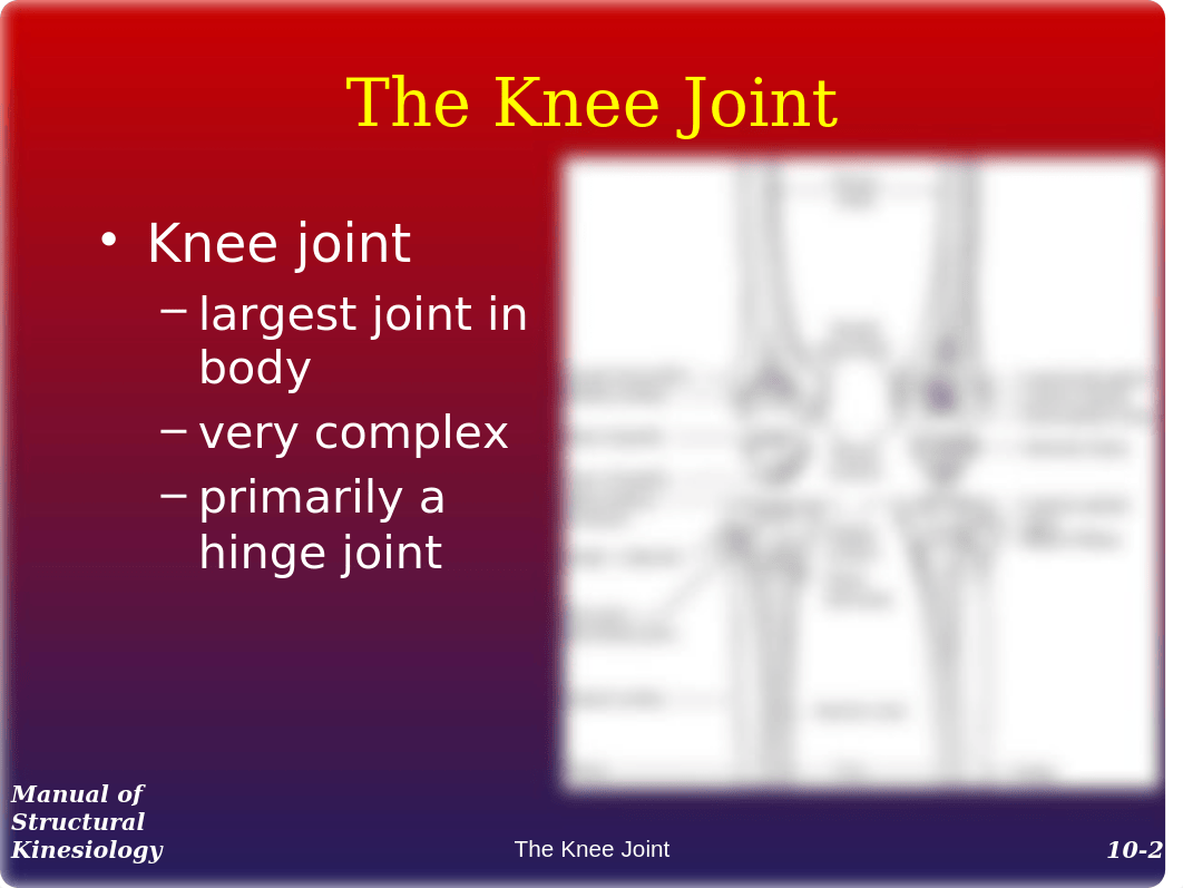 10 Knee (1)_dmk9s5kclbk_page2