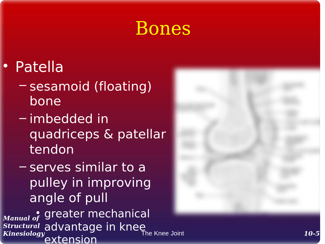 10 Knee (1)_dmk9s5kclbk_page5