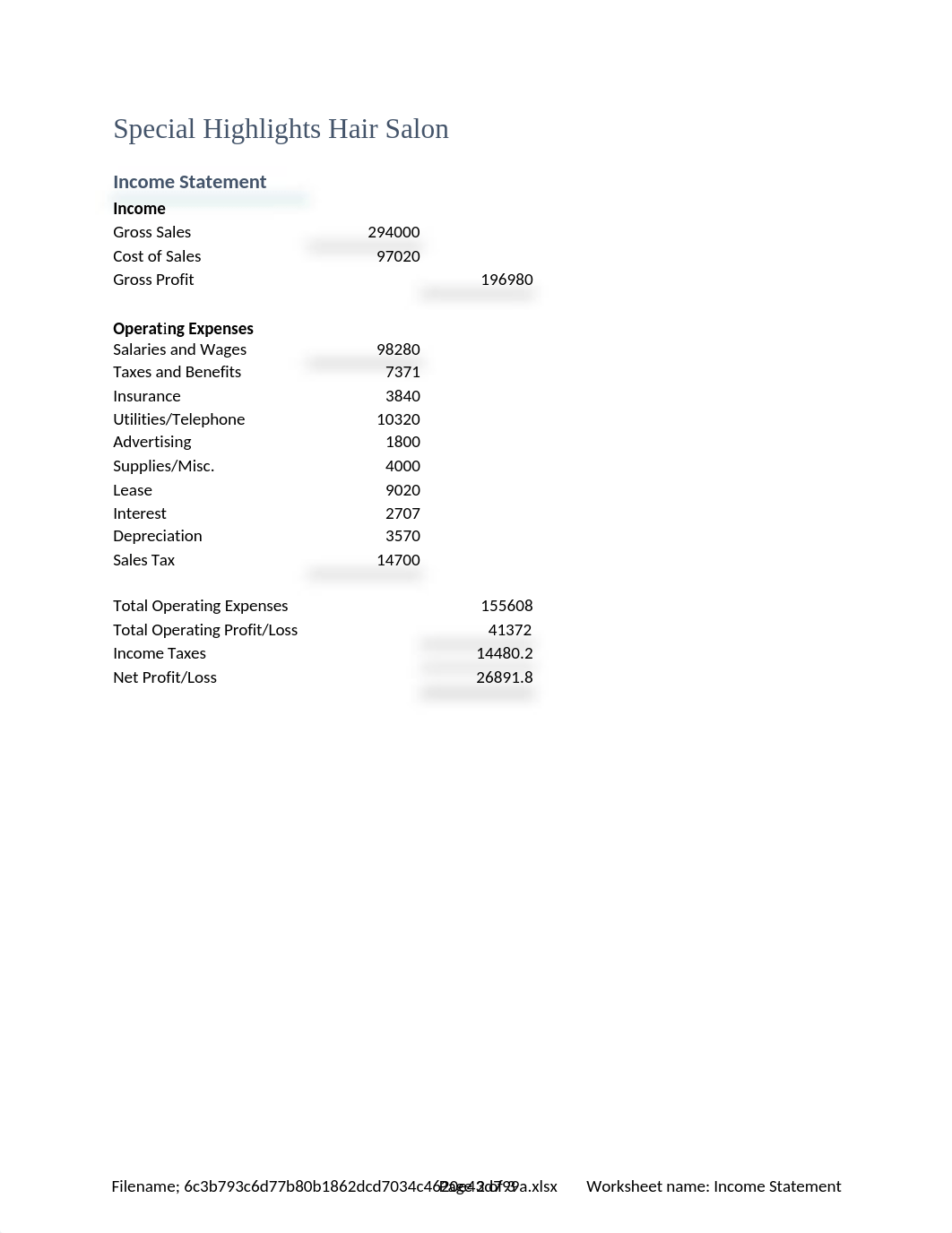 Salon Income Statement.xlsx_dmkbdxeljpz_page2