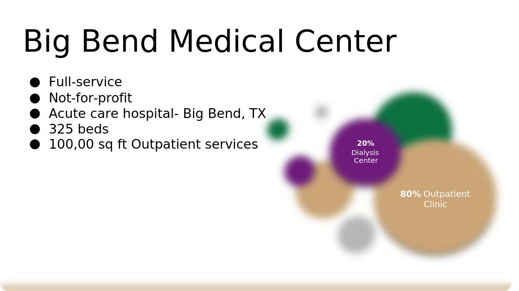 Big Bend Medical Center.pptx_dmkc08bounl_page3