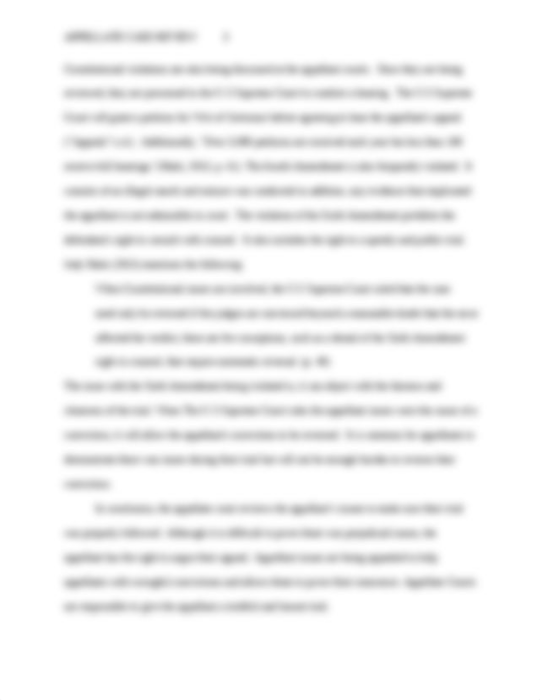 Appallete_case_review.docx_dmkifomimy4_page3