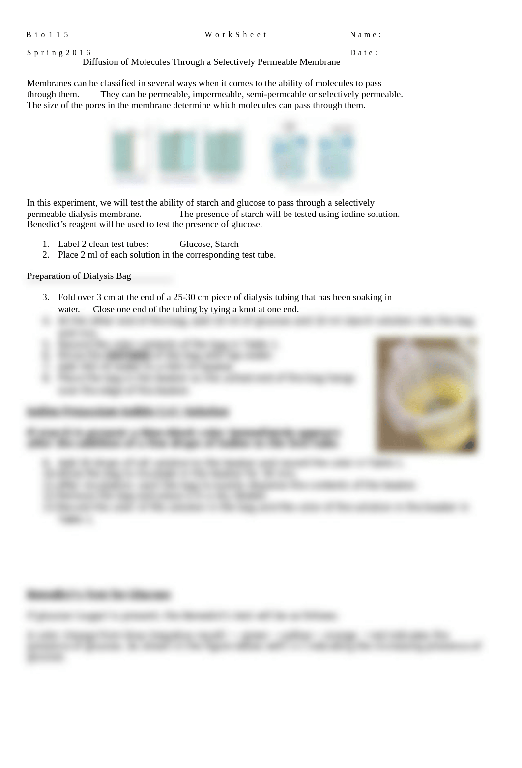 BIO115-16 Diffusion of Molecules Through a Selectively Permeable Membrane-16-3_dmkyp9ilp1d_page1