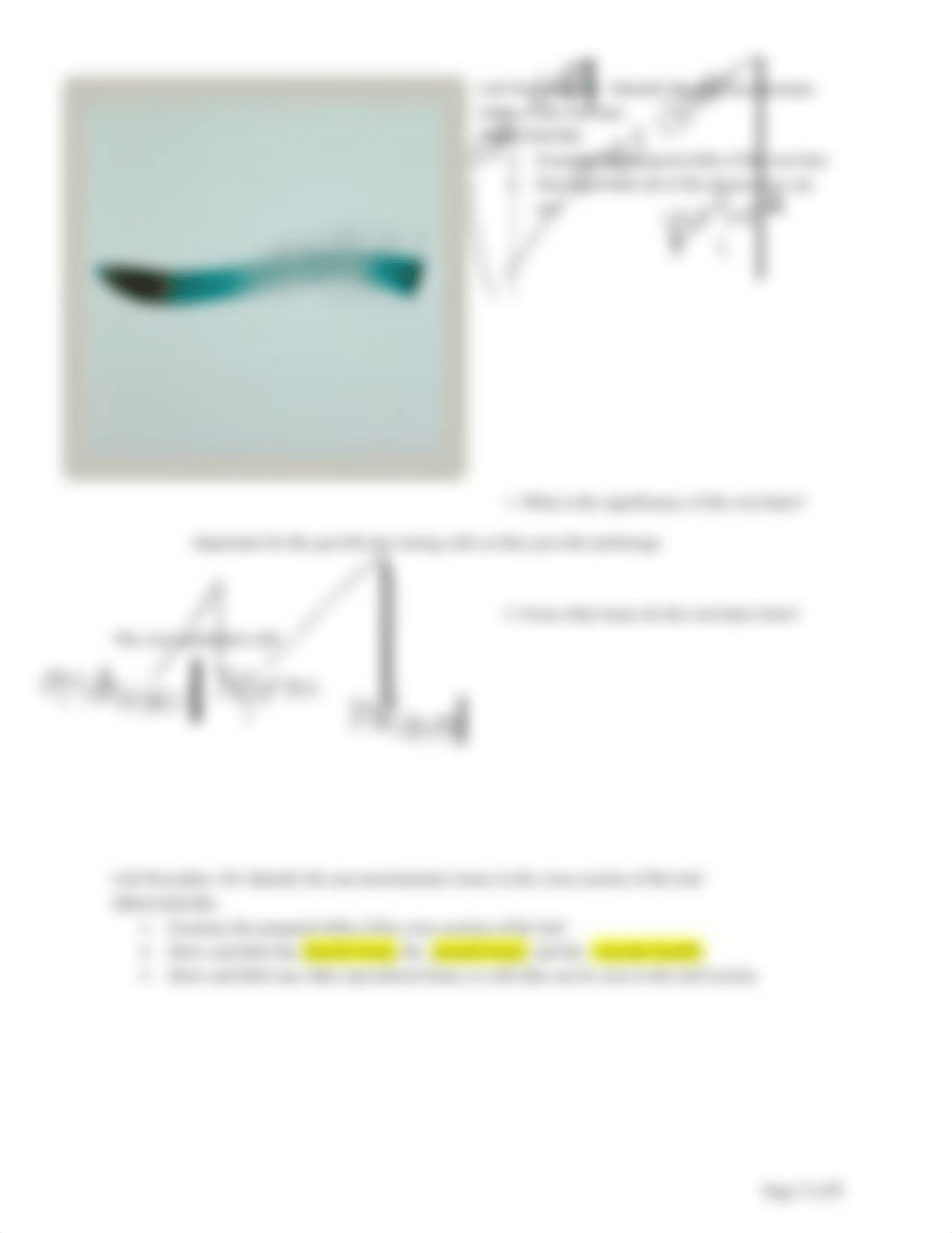 Seeds_Cells_Tissues Lab.docx_dml39f9z2v7_page3