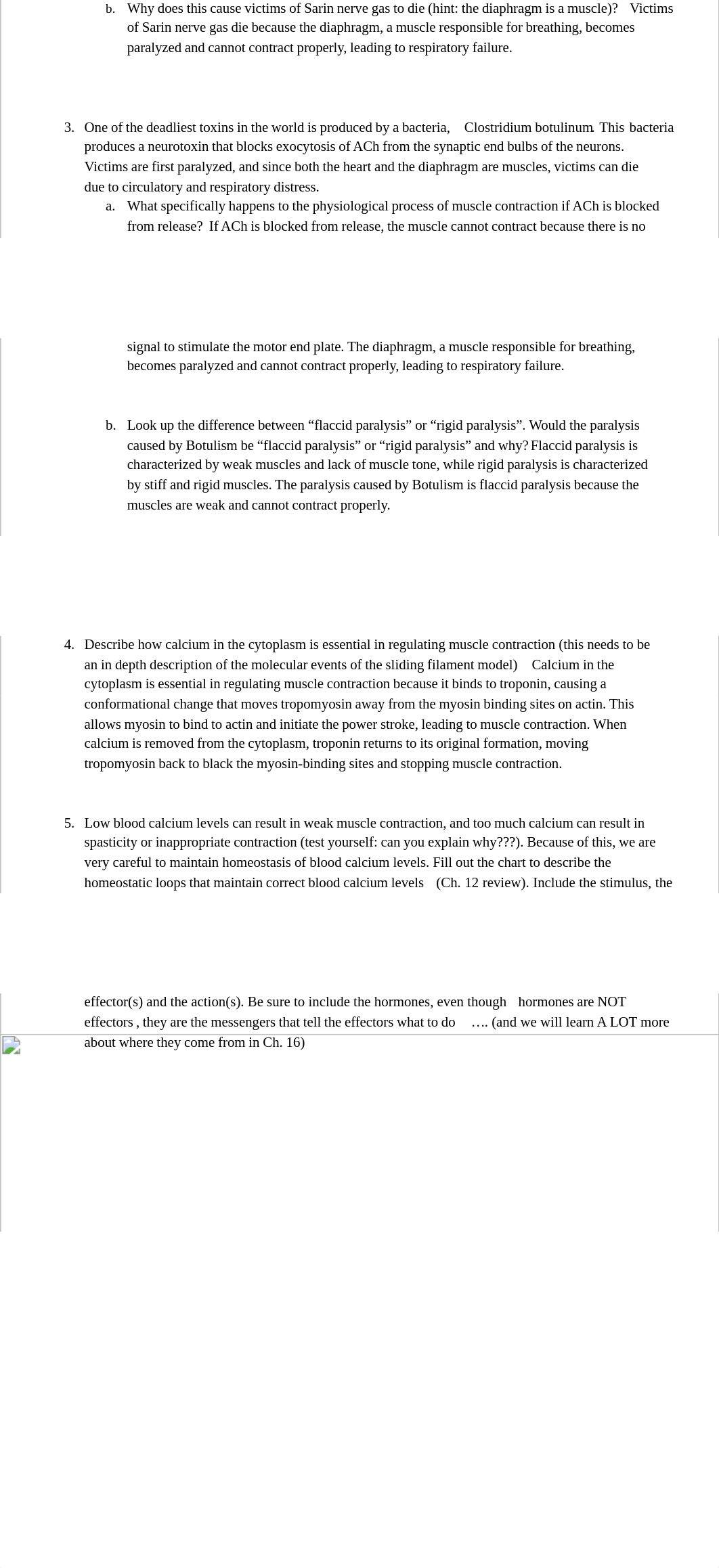 Muscle Contraction Worksheet.pdf_dmlb6ps63mc_page2