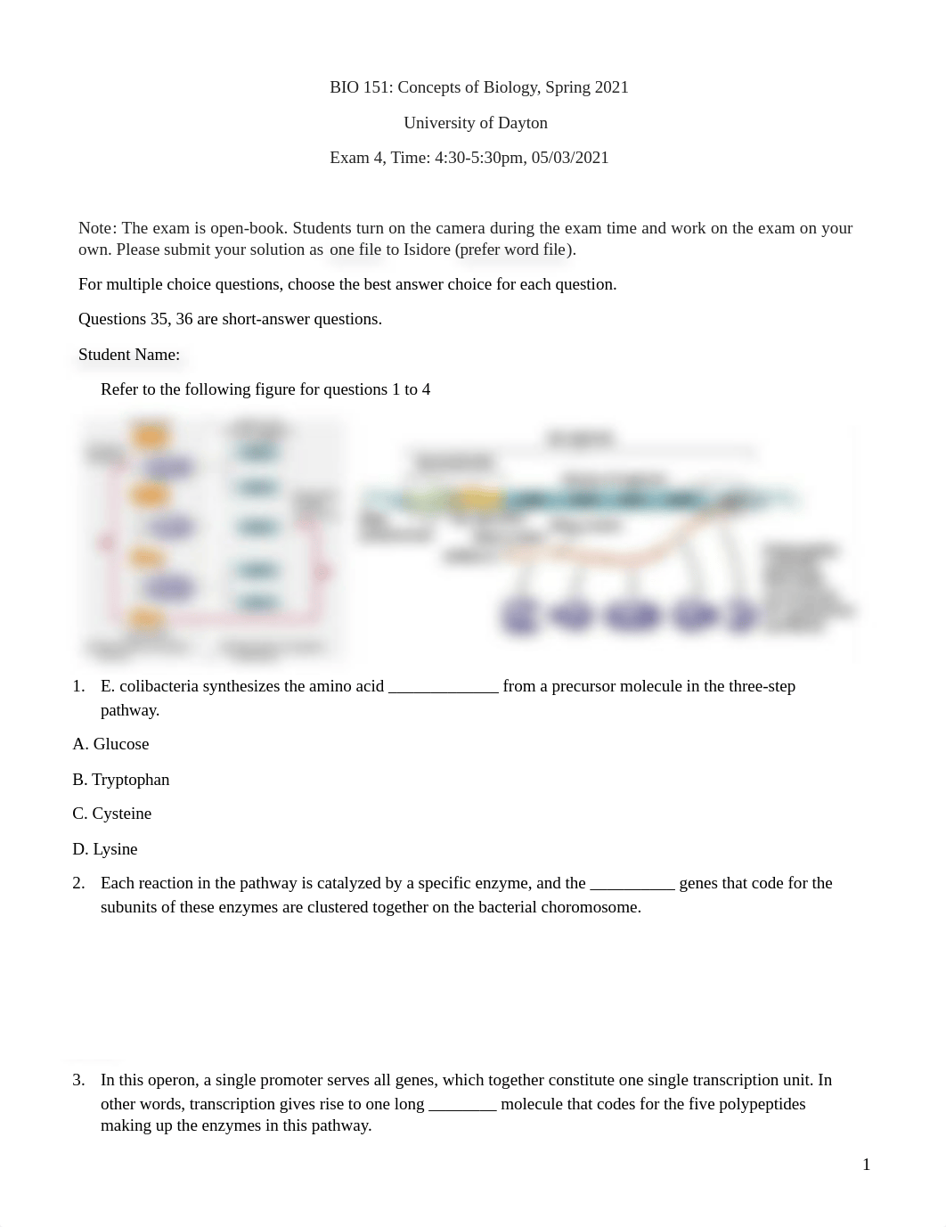 BIO151-Exam 4 .docx_dmll5e4ou6w_page1