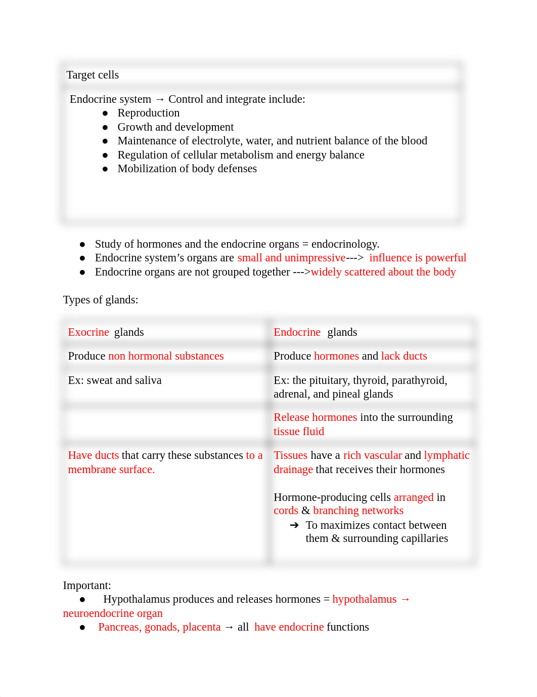 16_ The Endocrine System.pdf_dmllpewxqvd_page2