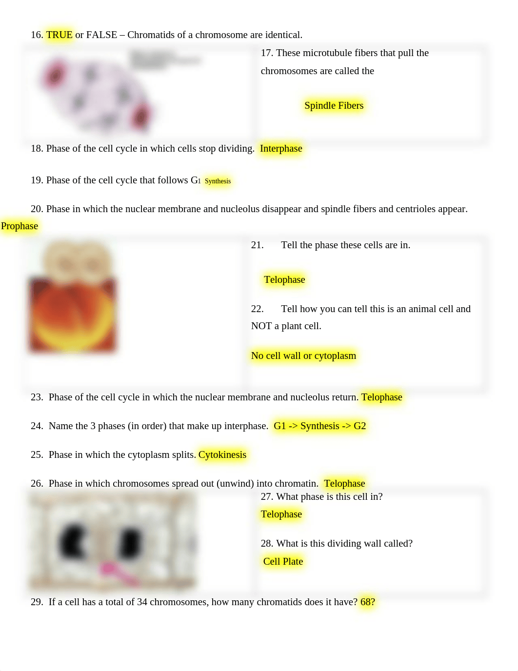 Chromosome__Mitosis__Meiosis_Review_Worksheet_Spring_2020-2_dmlnxqhxqon_page3