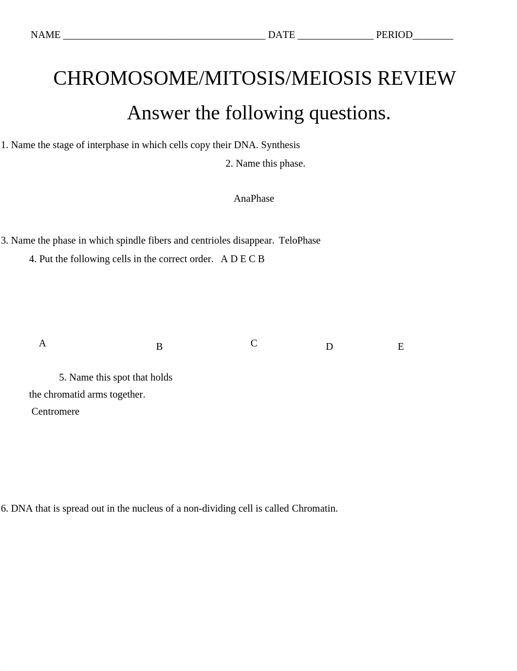 Chromosome__Mitosis__Meiosis_Review_Worksheet_Spring_2020-2_dmlnxqhxqon_page1