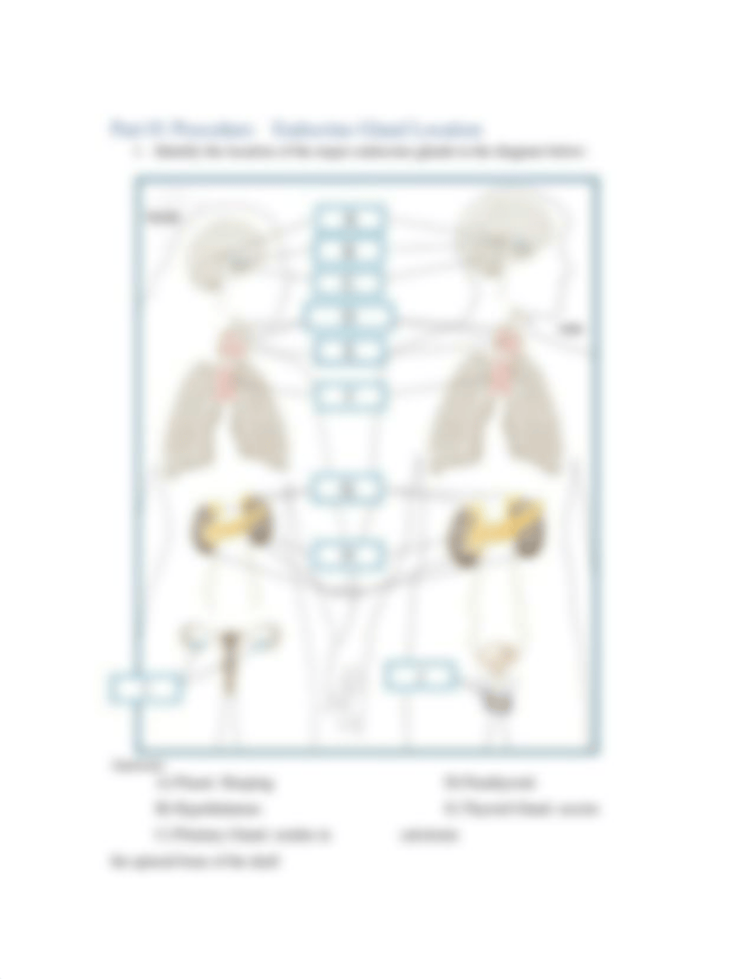 Sjohnson_Module_10_Lab_Worksheet_090419.docx_dmloqn3r7gl_page2