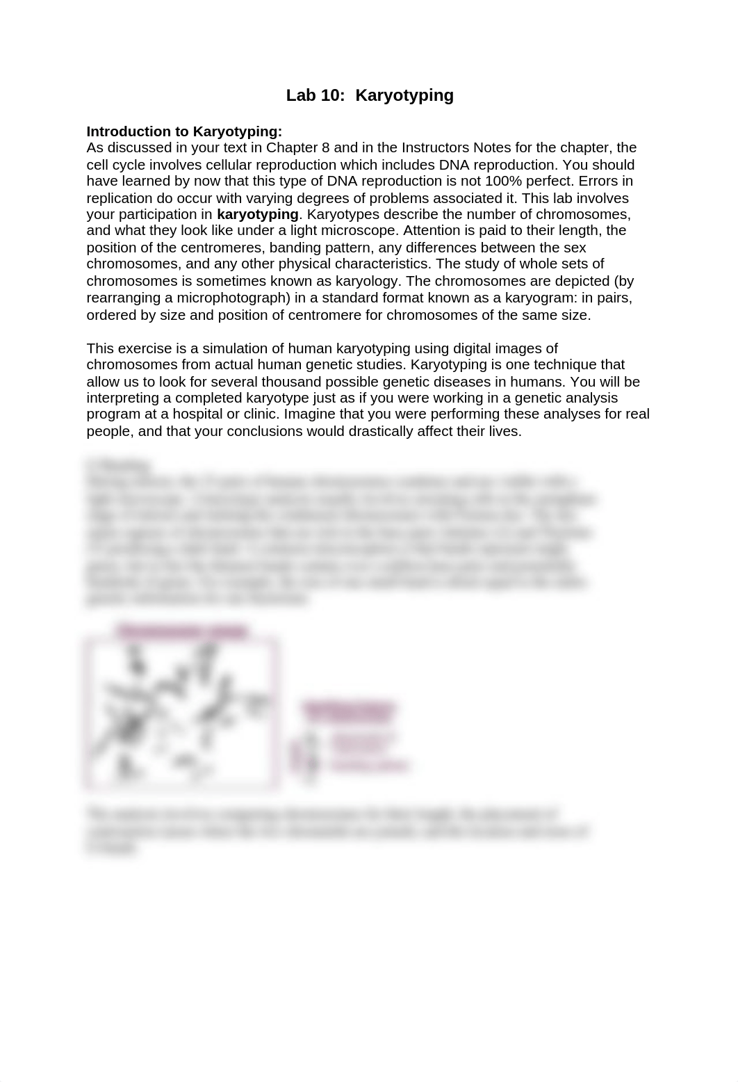 10 lab Karyotyping a Patient (1).pdf_dmlr77w6c08_page1