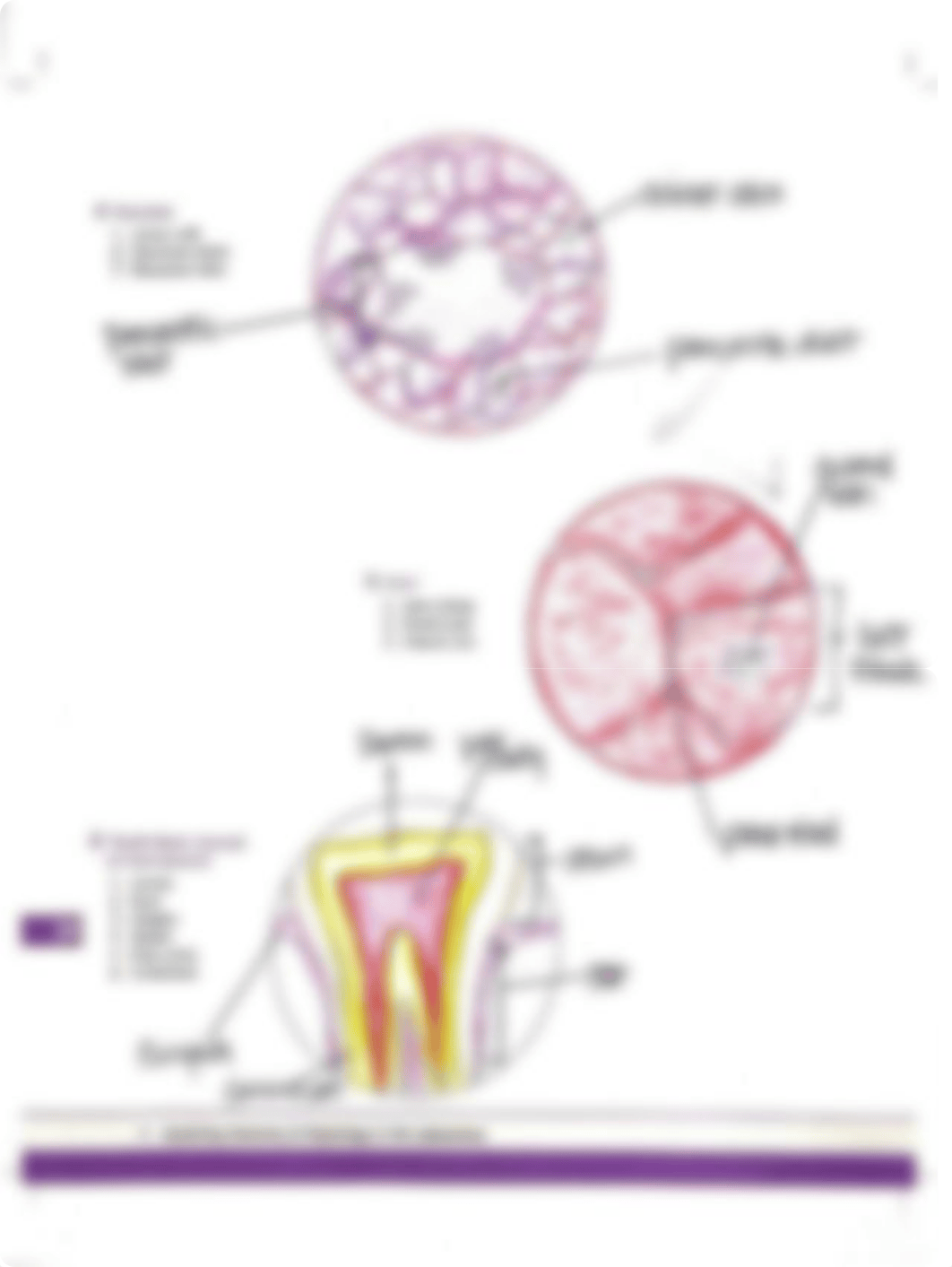 Unit 24 Expercise 24-2 Procedure 2.pdf_dmlwrxa13sr_page2