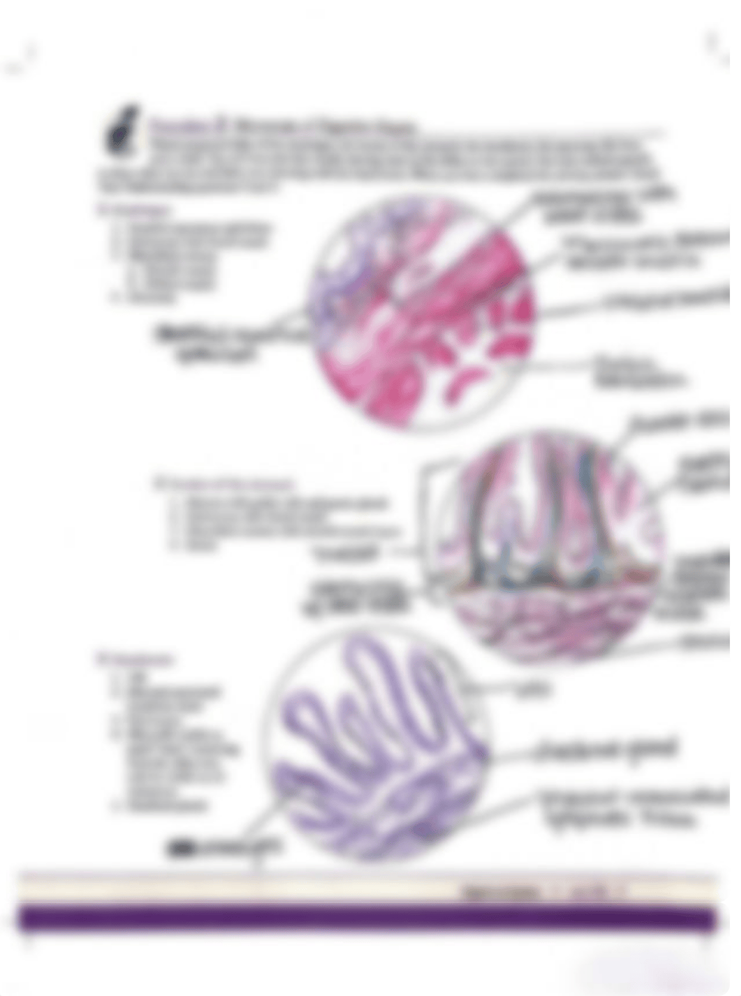 Unit 24 Expercise 24-2 Procedure 2.pdf_dmlwrxa13sr_page1