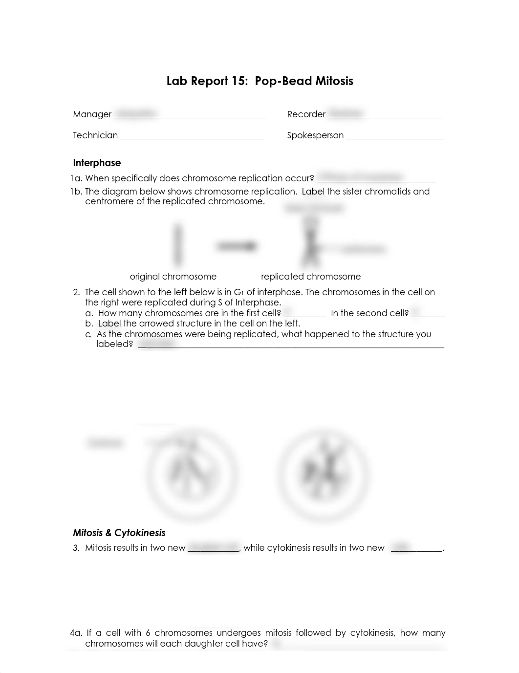 15 Lab Report 15 Pop-Bead Mitosis (1).pdf_dmm0jcmpcmg_page1