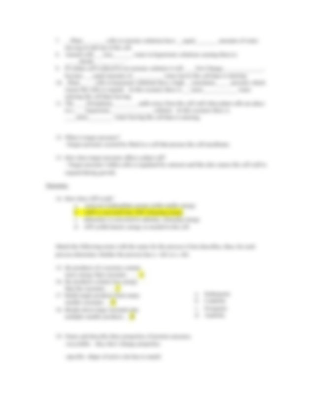 Practice Exam 2 (Lipids - Photosynthesis).docx_dmm7u50b9wp_page3