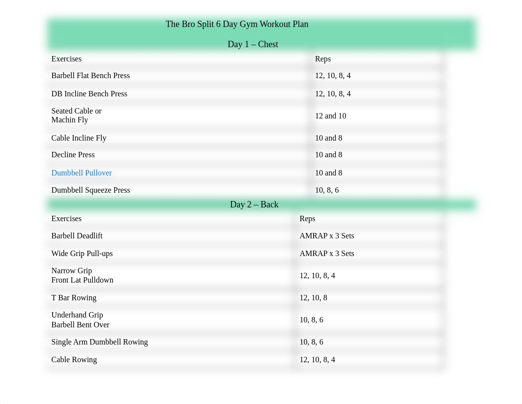 The Bro Split 6 Day Gym Workout Plan[1813].docx_dmm9ytcuc5d_page1