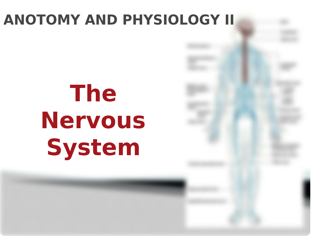 ANOTOMY AND PHYSIOLOGY II GROUP WORK recent.pptx_dmmgubsp0kr_page1