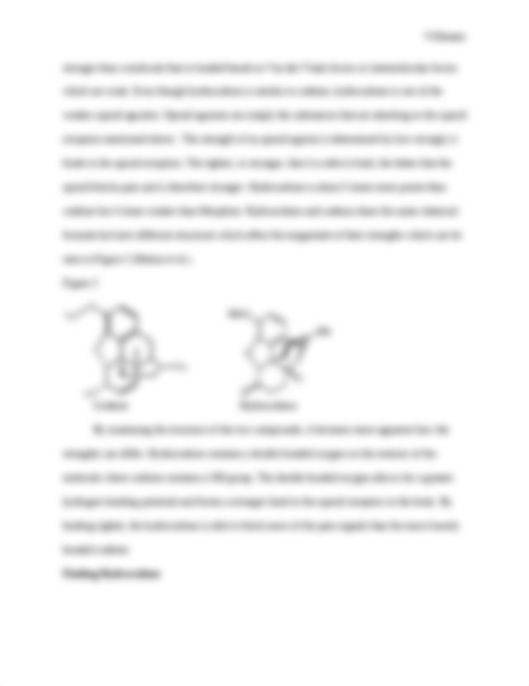 Term paper molecule_dmmmojpccj8_page3