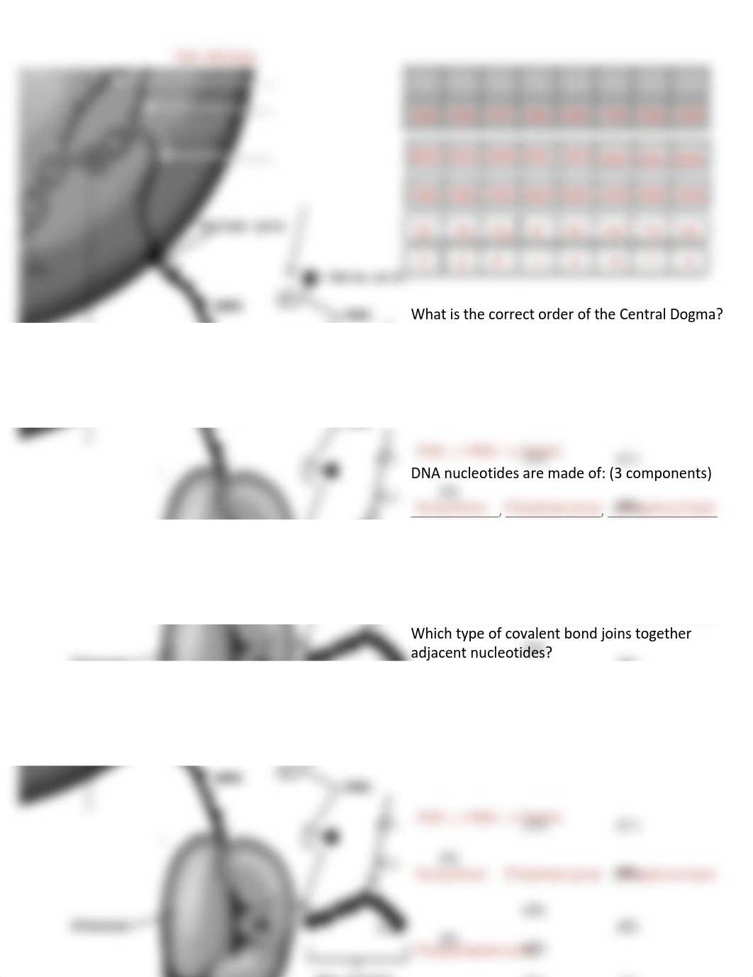 BIO 340 Activity #1 Summer B 2021.pdf_dmmmsszggns_page1