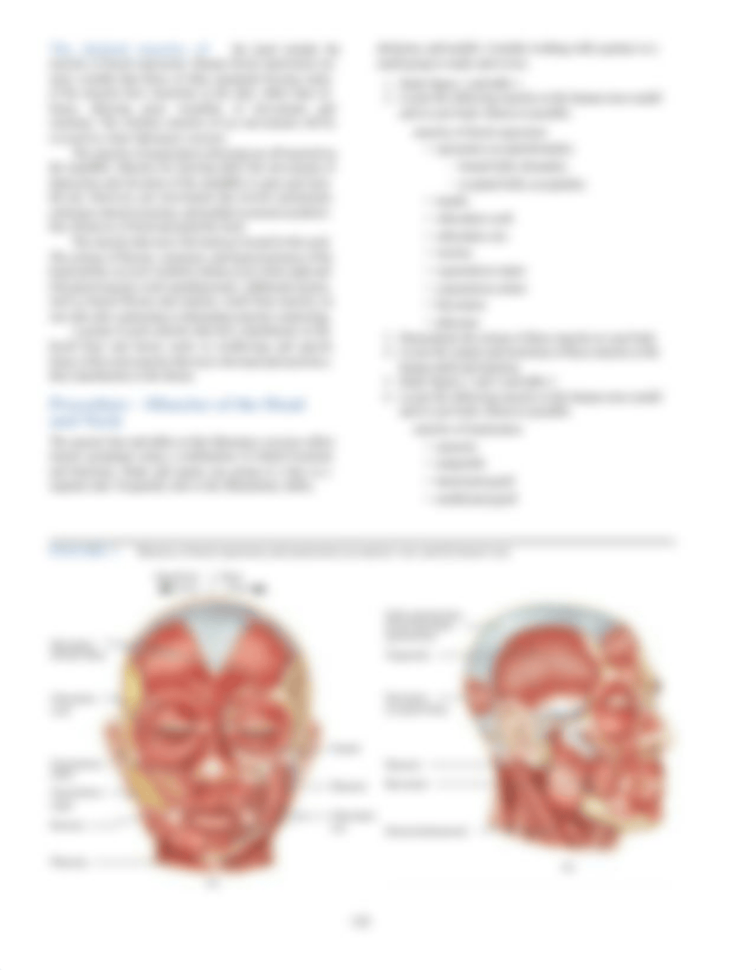 CAROLINE+ROMERO+-+Lab+Muscles+of+the+Head+and+Neck.pdf_dmmoykd8705_page2