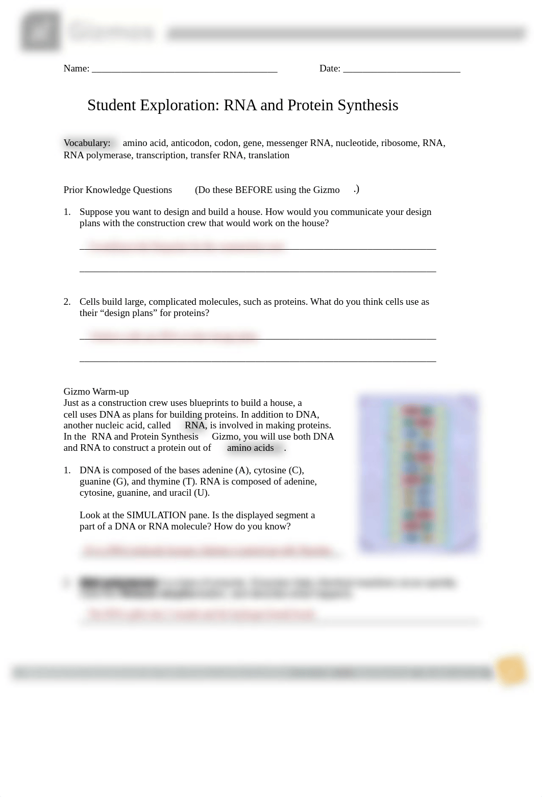 RNA and ProteinSynthesis Gizmo.pdf_dmmwfndth2t_page1