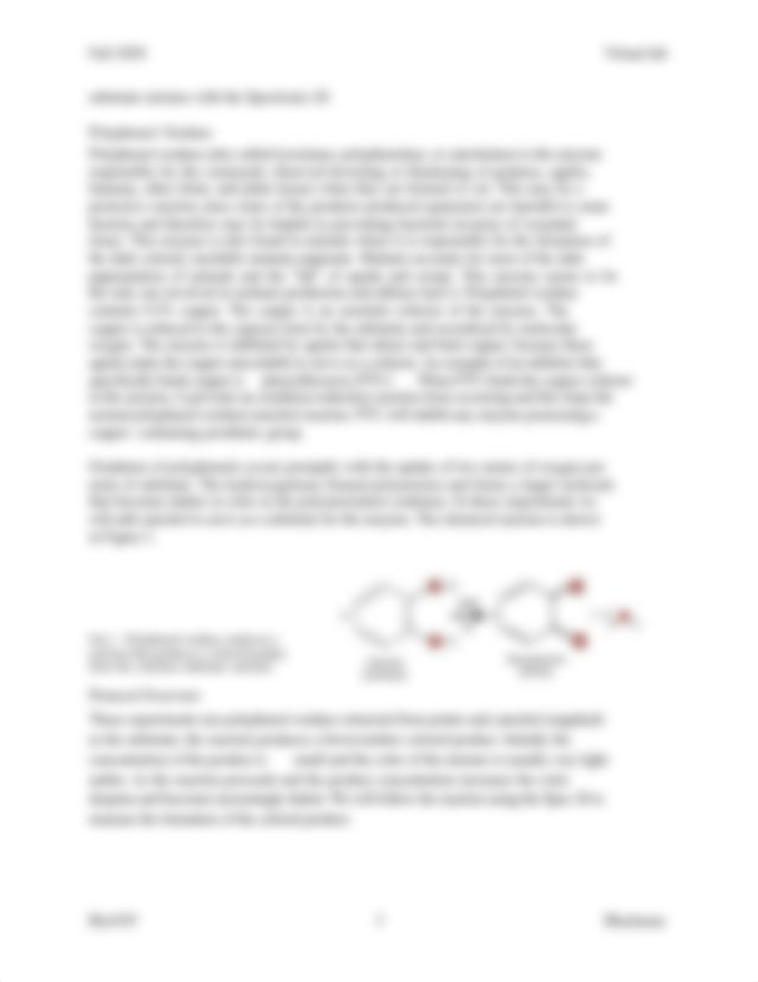 Fa20_Enzyme kinetics.pdf_dmn2syp6ja7_page3