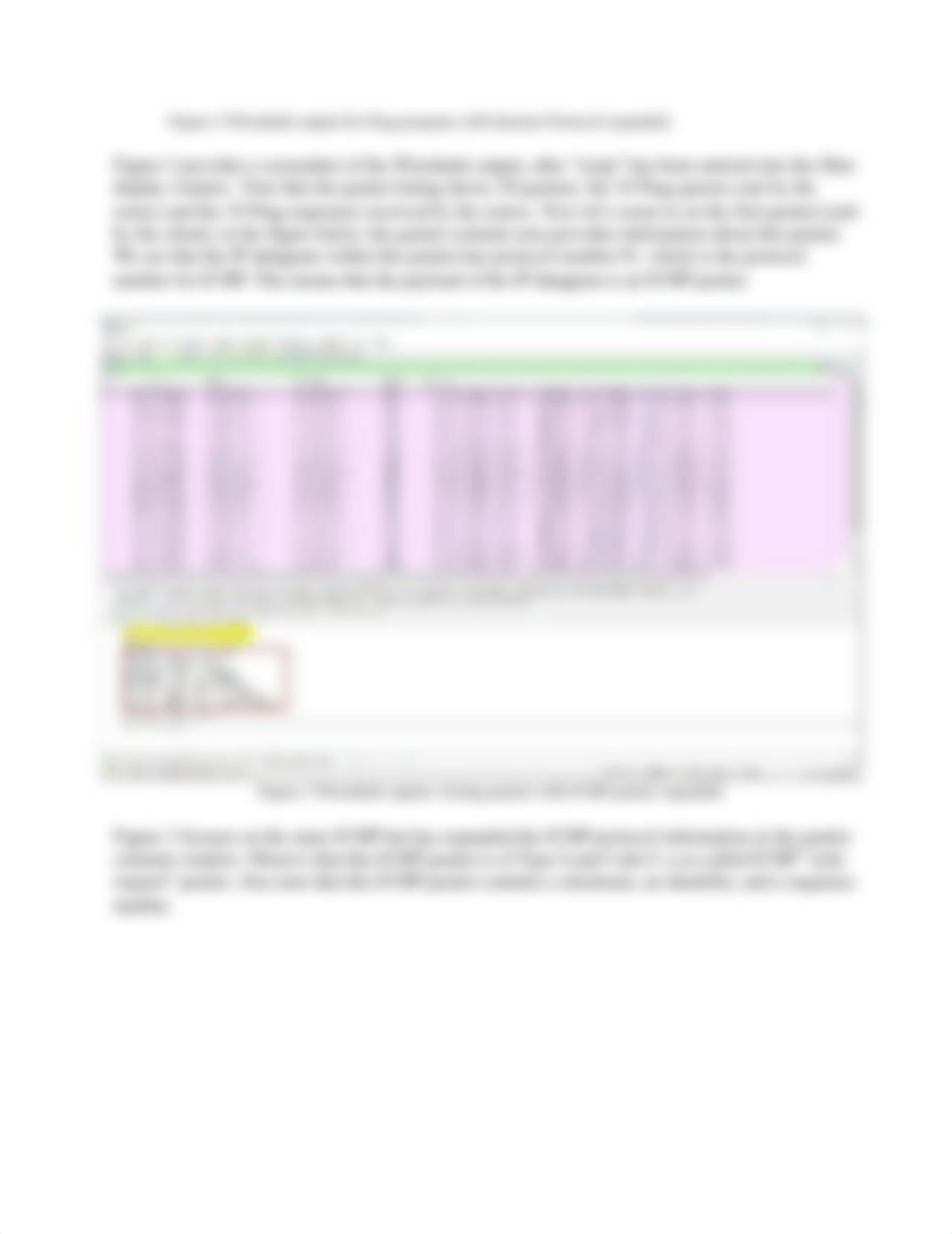 Lab_05 ICMP.docx_dmn4cdf7fq7_page3