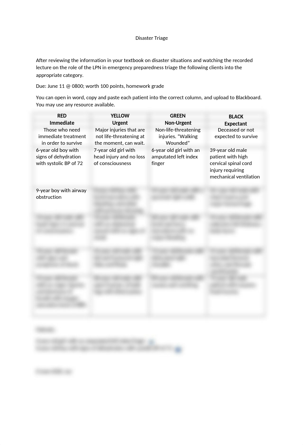 Disaster Triage Activity(1) (2).docx_dmncovryqdq_page1