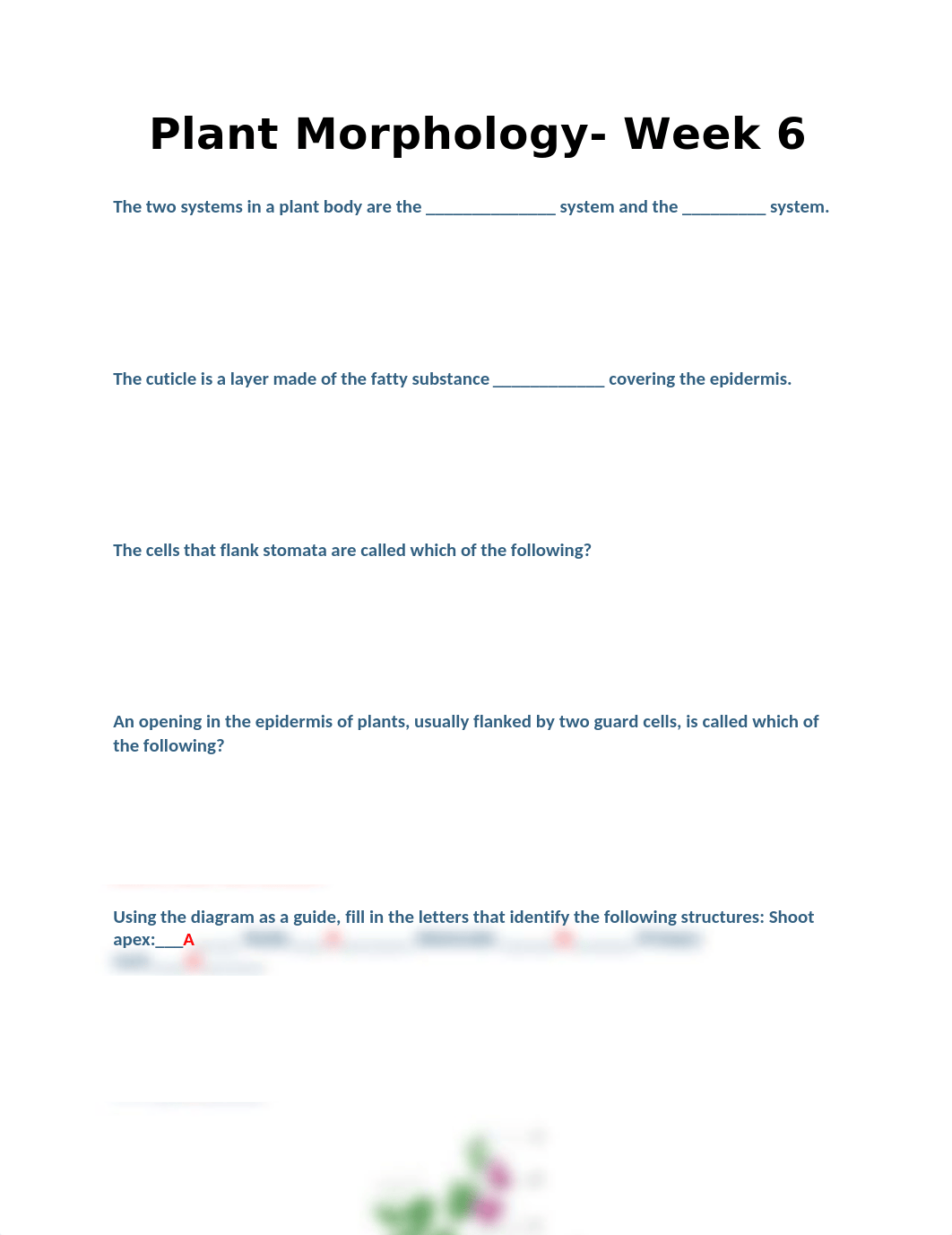 Plant Morphology- Week 6.docx_dmnjy8z483x_page1