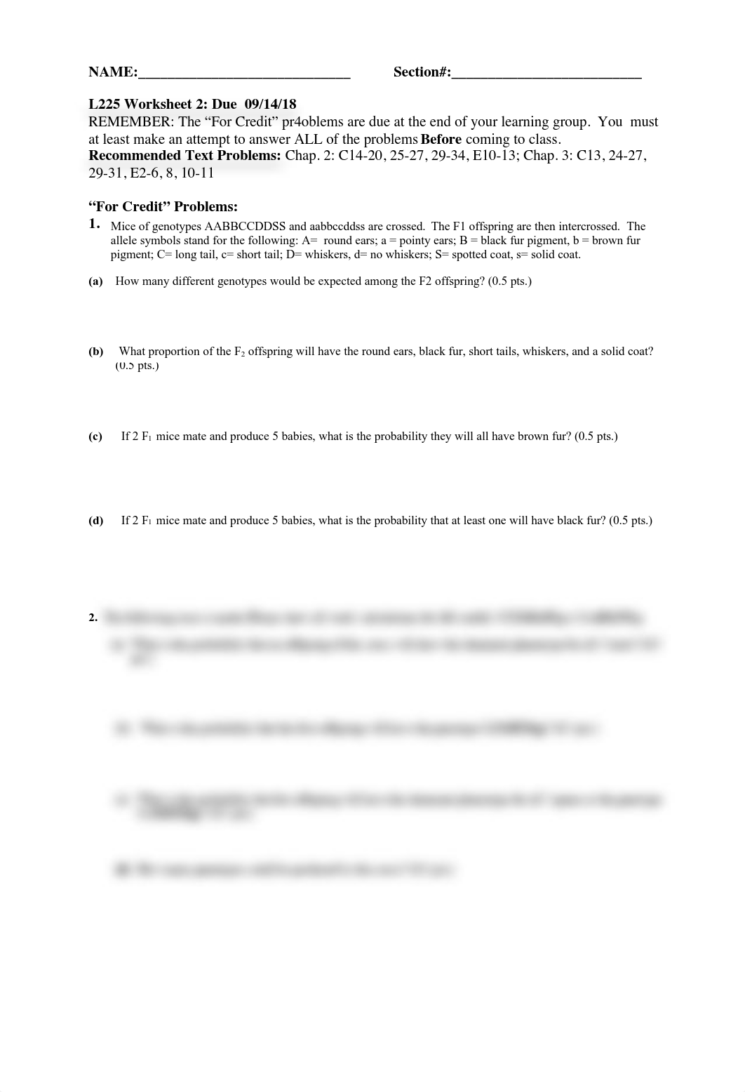 worksheet 02.pdf_dmnmv9gc2p7_page1