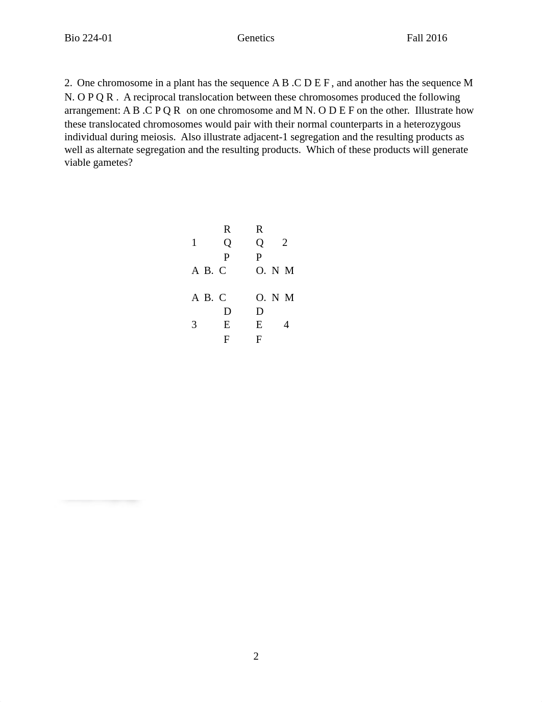 Homework5Key(17).docx_dmnommumr8u_page2