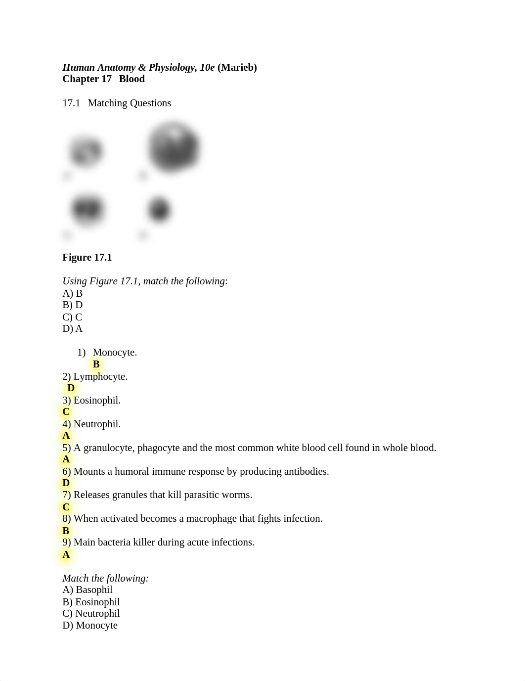 ch_17_worksheet answer .docx_dmoe0dq7mm1_page1