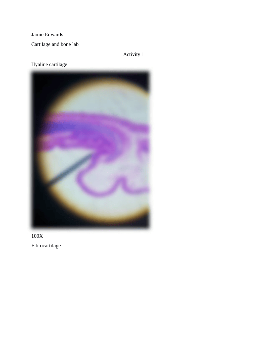 cartilage and bones lab (1).pdf_dmof15ccsre_page1