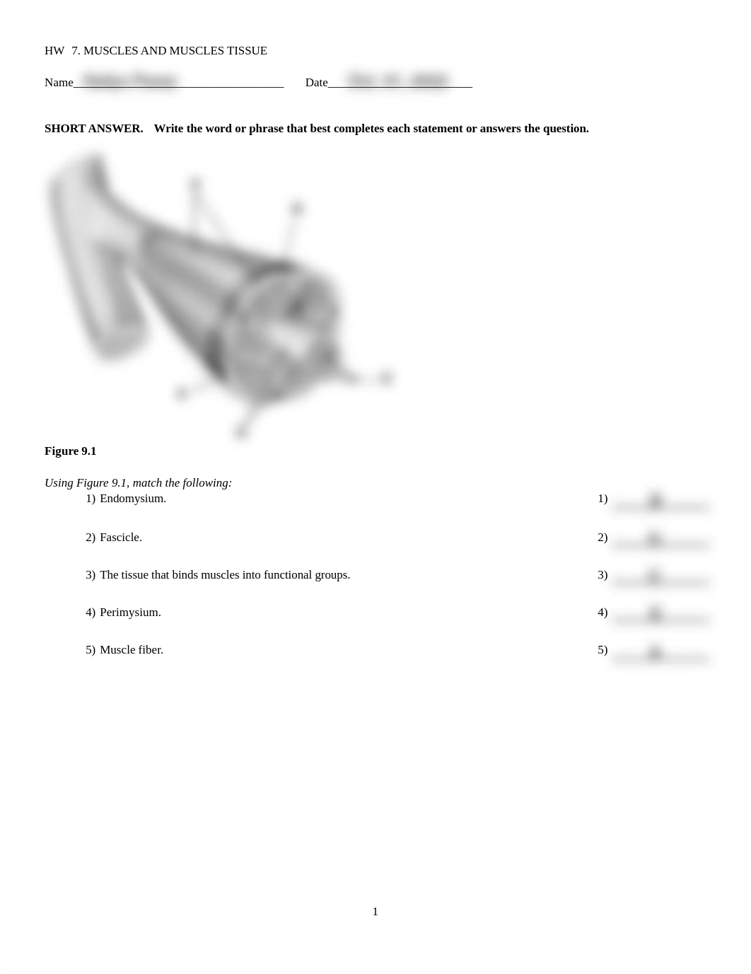 HW 7.MUSCLES AND MUSCLES TISSUE copy.pdf_dmp0e4d9f4f_page1