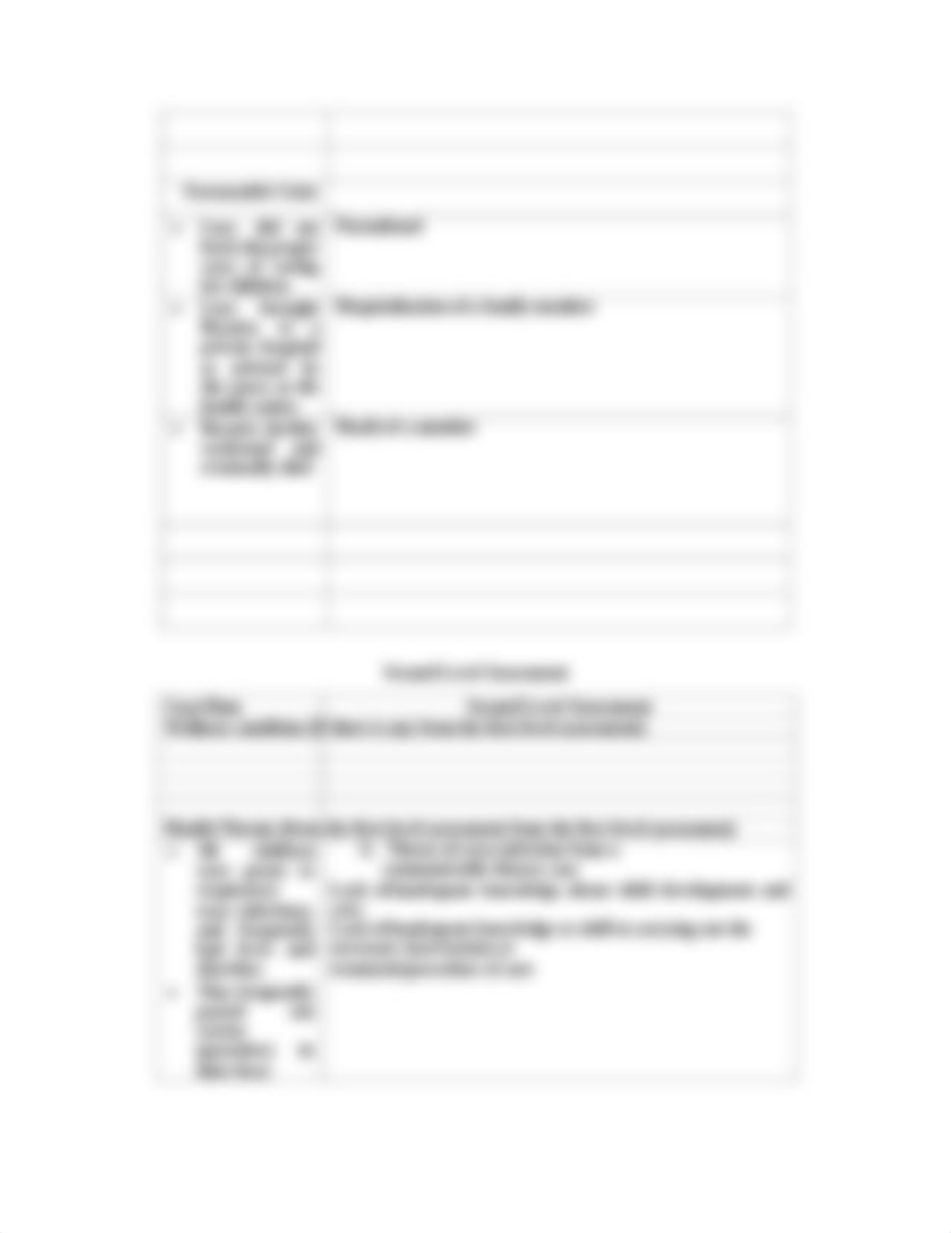 First and Second Level Assessment Template.pdf_dmp7bz2qwwp_page3