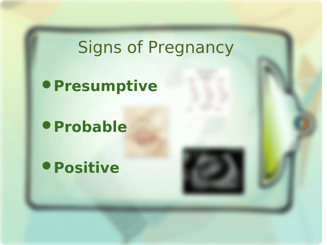 NURS 210 Chapter 6 Anatomy and Physiology of Pregn (2)_dmpc38j5p5r_page4