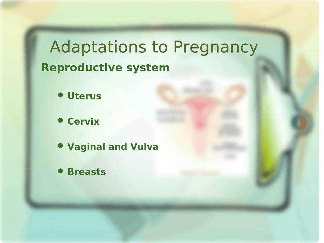 NURS 210 Chapter 6 Anatomy and Physiology of Pregn (2)_dmpc38j5p5r_page5