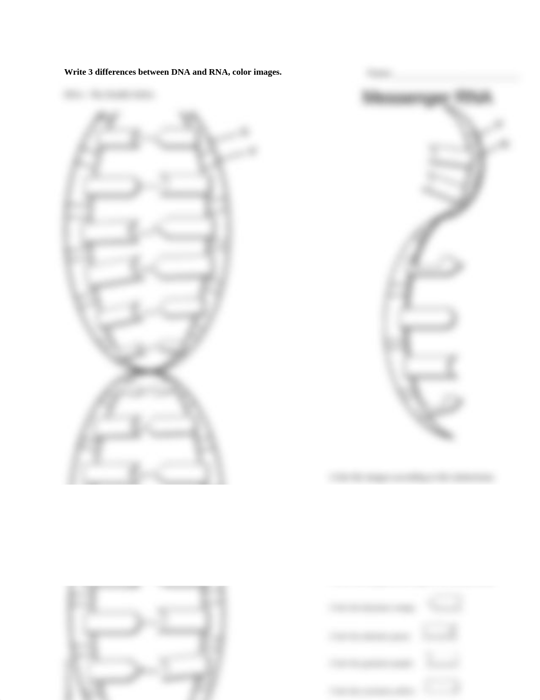 DNA vs RNA handout.doc_dmpiswlj51u_page1