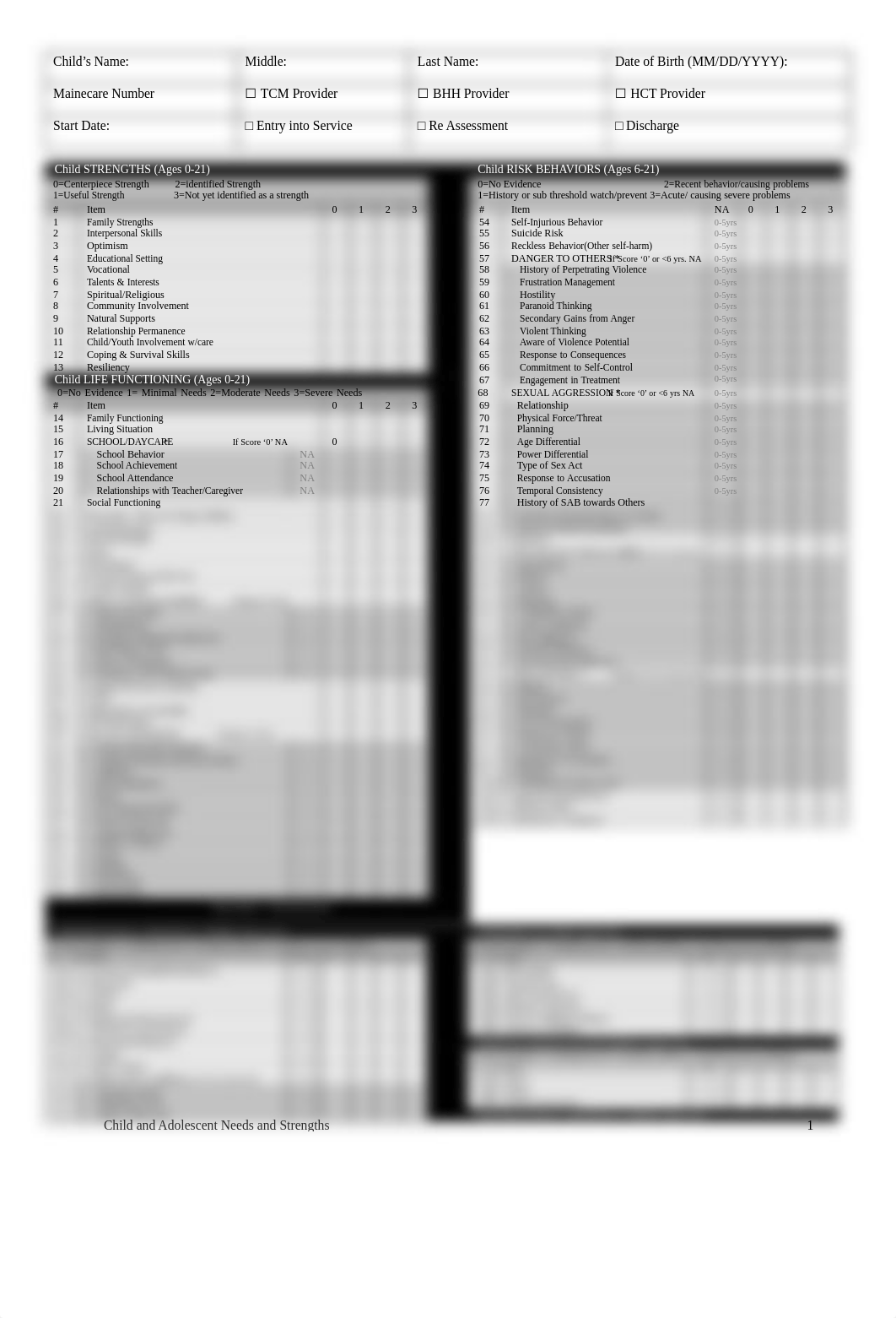 CANS Assessment.docx_dmpj8vb0eyh_page1