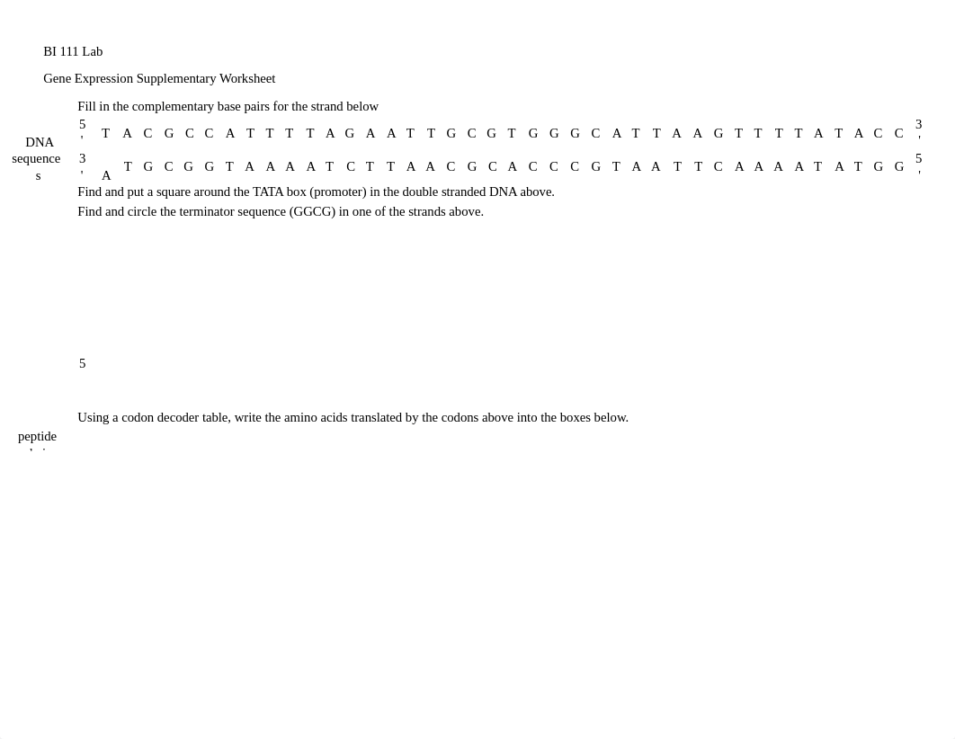 Gene expression worksheet_editable_form_revised (1).docx_dmpoh0qlorp_page1