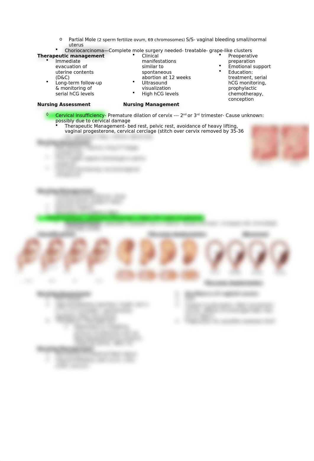 Competency 9.docx_dmpp3utcs6s_page2