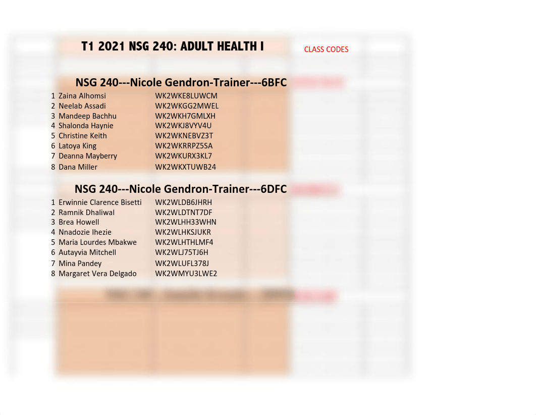 T1_2021 NSG 240 vSIM student assignments 1_19_21.pdf_dmpp977xqkx_page1