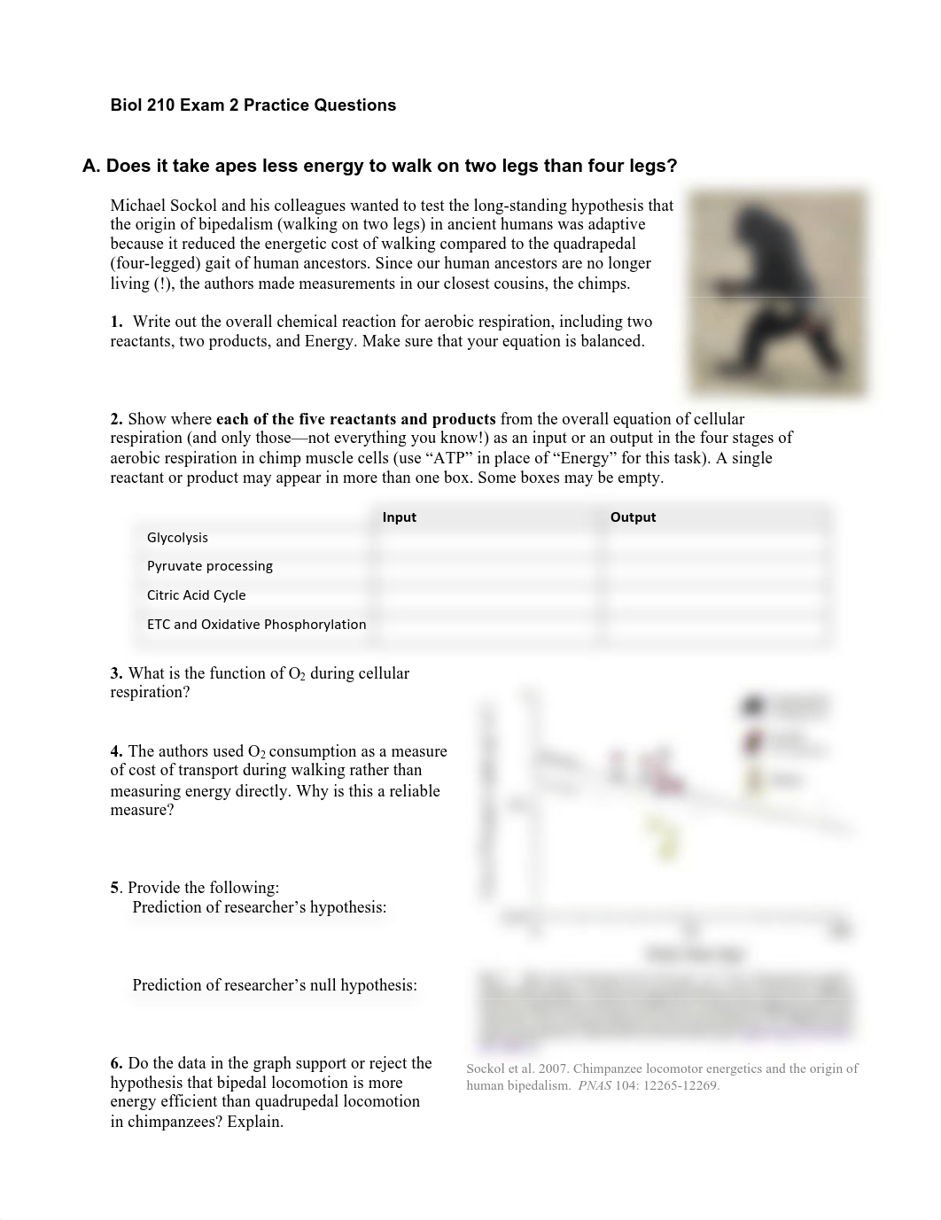 Biol210 Exam 2 PRACTICE F16_dmprl1rd8rw_page1