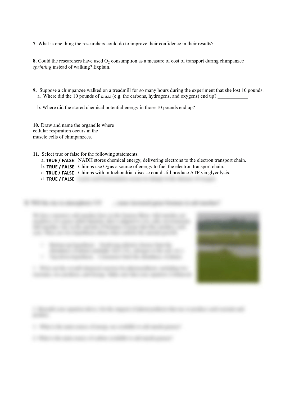 Biol210 Exam 2 PRACTICE F16_dmprl1rd8rw_page2