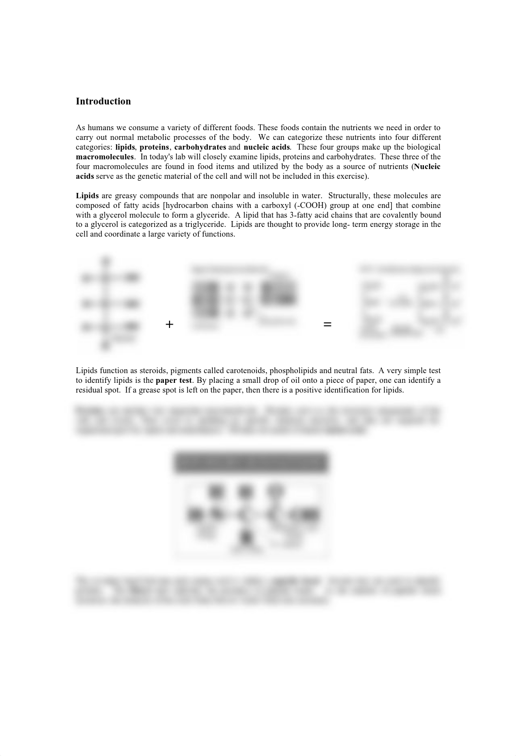 Lab 6.MacromoleculesandYou.pdf_dmpu0lsooou_page2