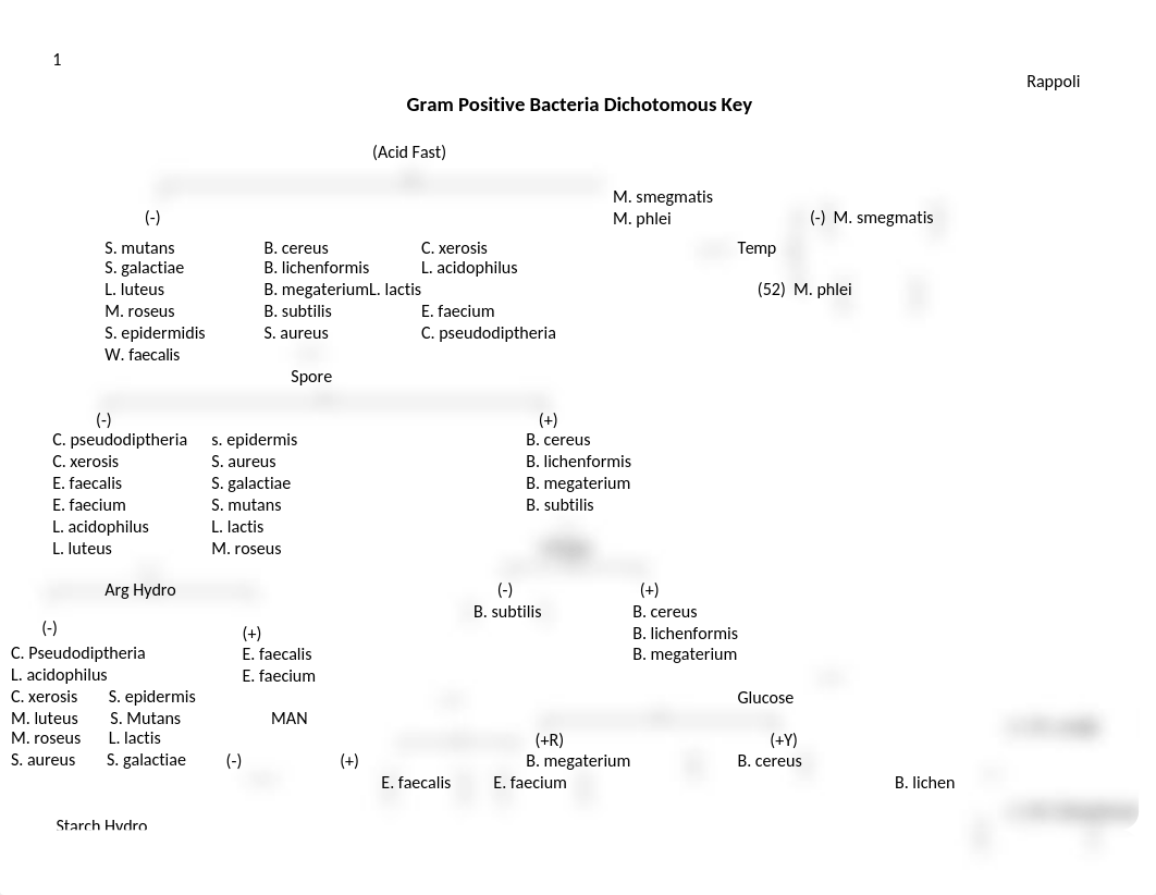 Gram Positive Bacteria Dichotomous flow chart.docx_dmpuu0tzvgv_page1