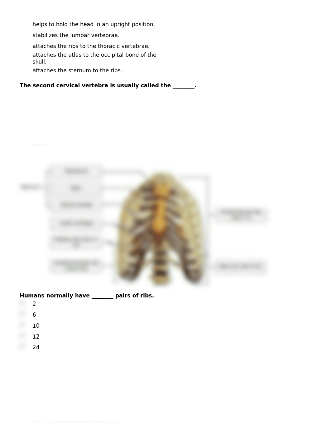 Anatomy - Torso_dmpuu2obe71_page2