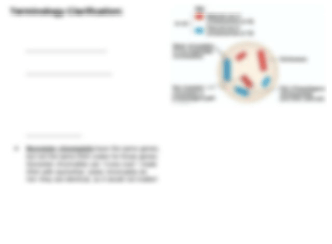 AP Bio 5.1-5.2 Meiosis and Genetic Diversity (1).pptx_dmpwuyox4i2_page4