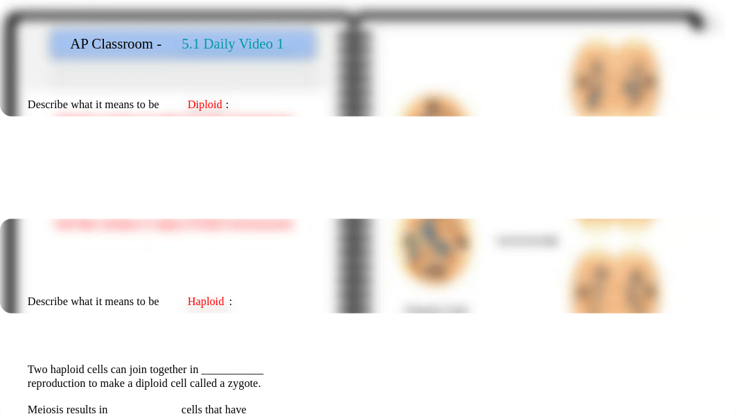 AP Bio 5.1-5.2 Meiosis and Genetic Diversity (1).pptx_dmpwuyox4i2_page3