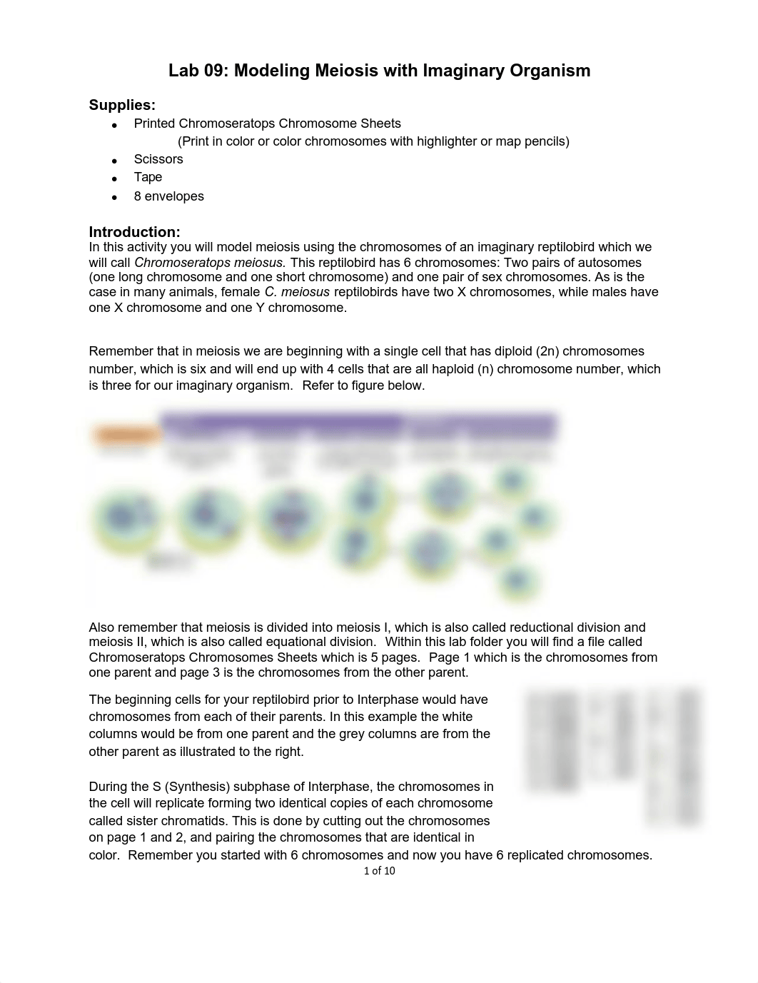 09 lab Chromoseratops(2).pdf_dmpzpru9cu7_page1